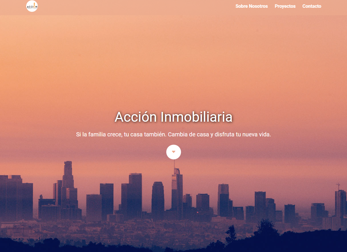 Accion inmobiliaria